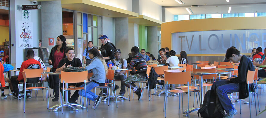 CHƯƠNG TRÌNH ĐÀO TẠO TẠI TRƯỜNG HOUSTON COMMUNITY COLLEGE