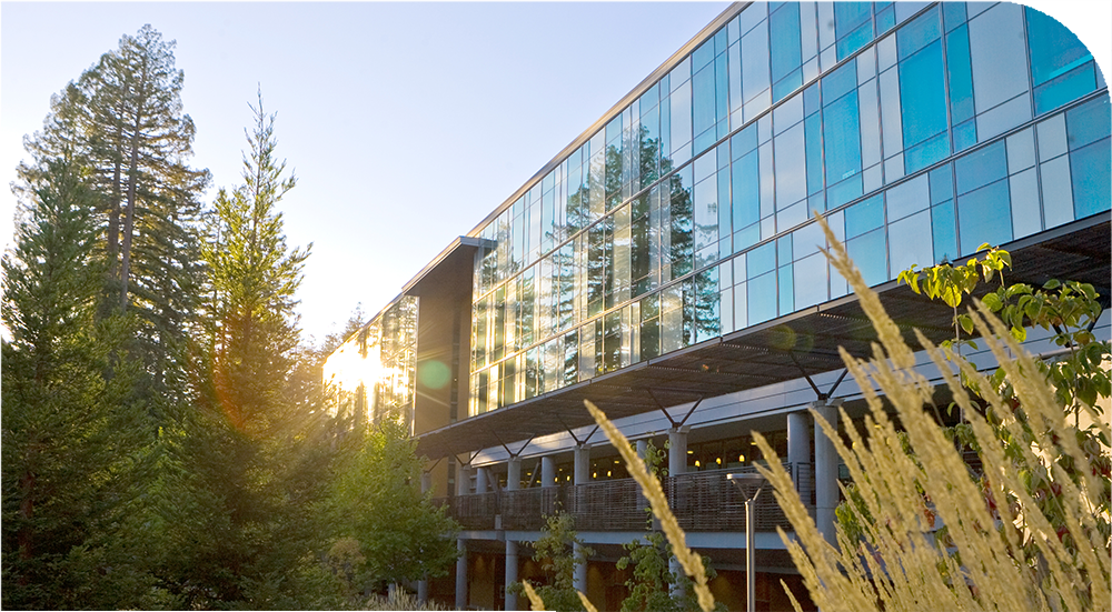 Top 10 các trường đại học hàng đầu ở California