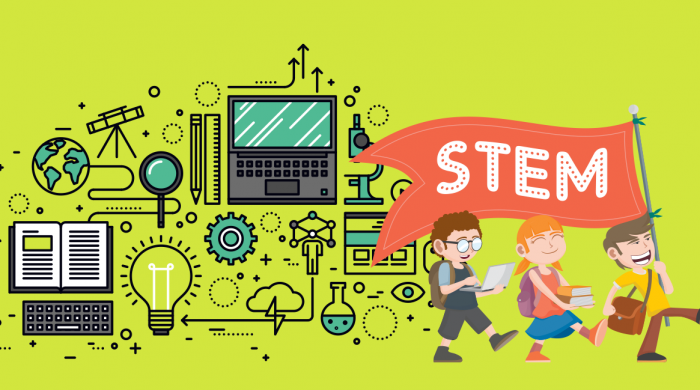 stem3
