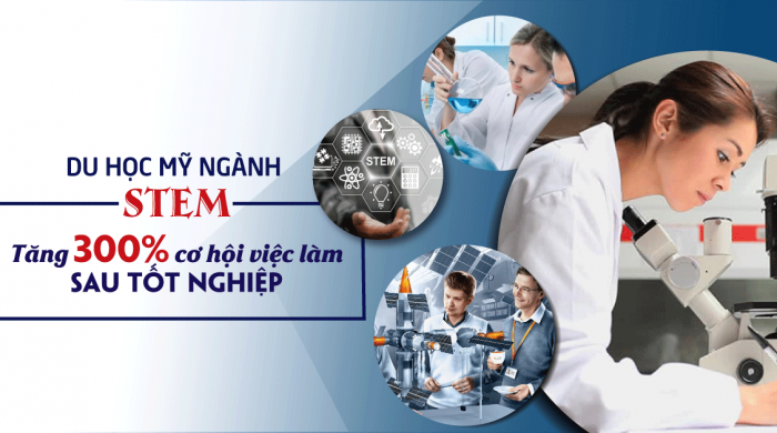 nganhstem