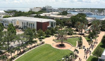 đại học south florida